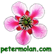 Dr Peter Molan